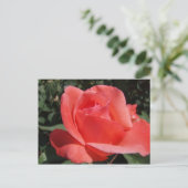 Rose Postkarte (Stehend Vorderseite)