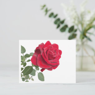 Rose Postkarte