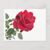 Rose Postkarte (Vorderseite)