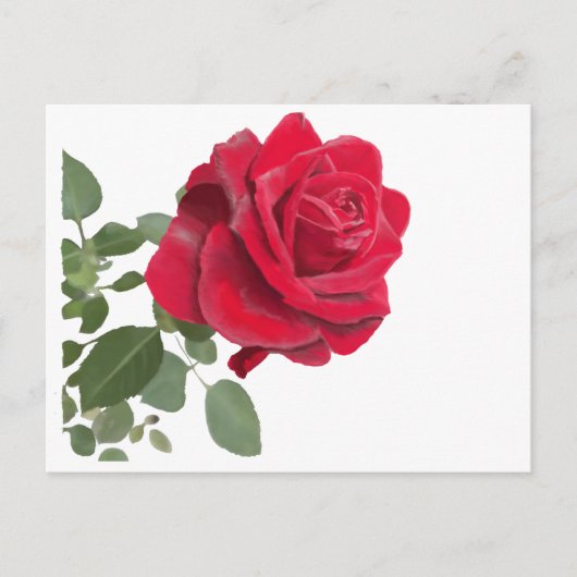 Rose Postkarte (Vorderseite)