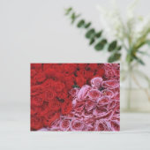Rose Postkarte (Stehend Vorderseite)
