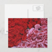 Rose Postkarte (Vorne/Hinten)
