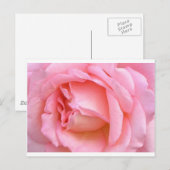 ROSE POSTKARTE (Vorne/Hinten)