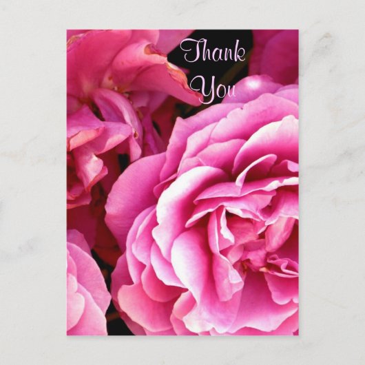 ROSE_ POSTKARTE (Vorderseite)