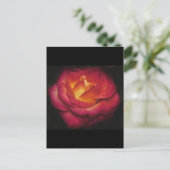 Rose Postkarte (Stehend Vorderseite)