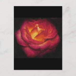 Rose Postkarte