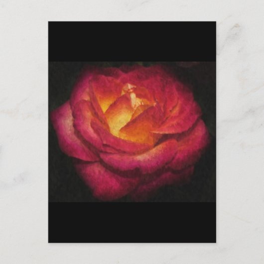 Rose Postkarte (Vorderseite)