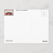 Rose Postkarte (Rückseite)