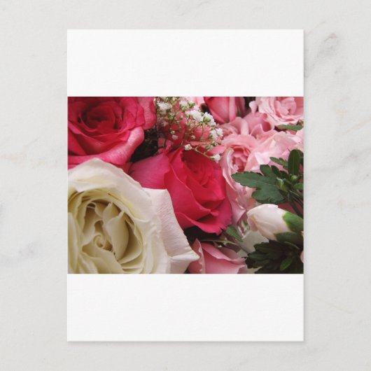 Rose Postkarte (Vorderseite)