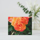 Rose Postkarte (Stehend Vorderseite)