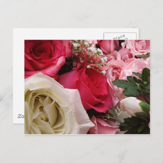 Rose Postkarte (Vorne/Hinten)