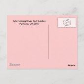 Rose Postkarte (Rückseite)