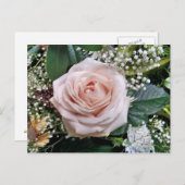 ROSE POSTKARTE (Vorne/Hinten)