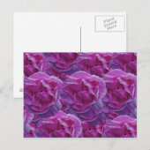 Rose Postkarte (Vorne/Hinten)