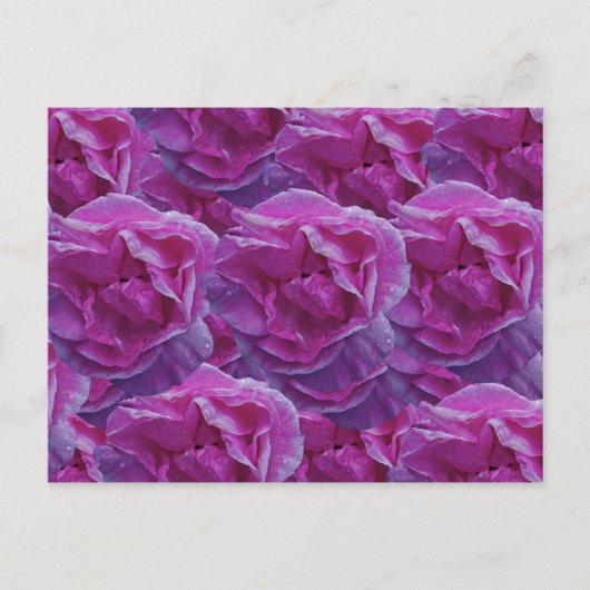 Rose Postkarte (Vorderseite)