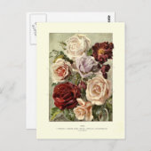 Rose Postkarte (Vorne/Hinten)