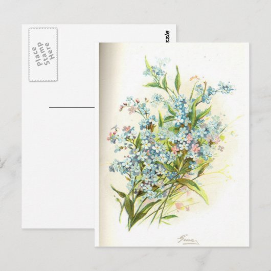 Rose Postkarte (Vorne/Hinten)