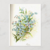 Rose Postkarte (Vorderseite)