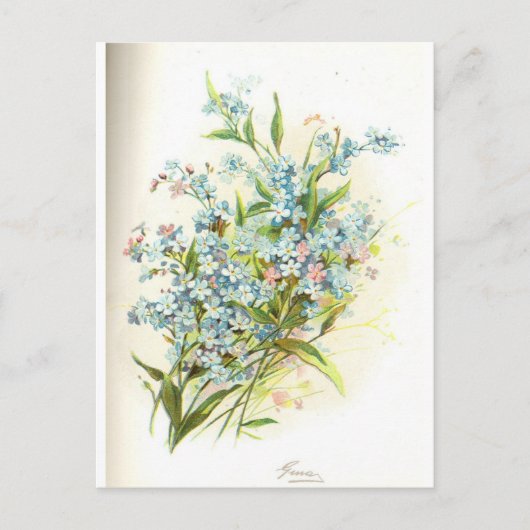 Rose Postkarte (Vorderseite)