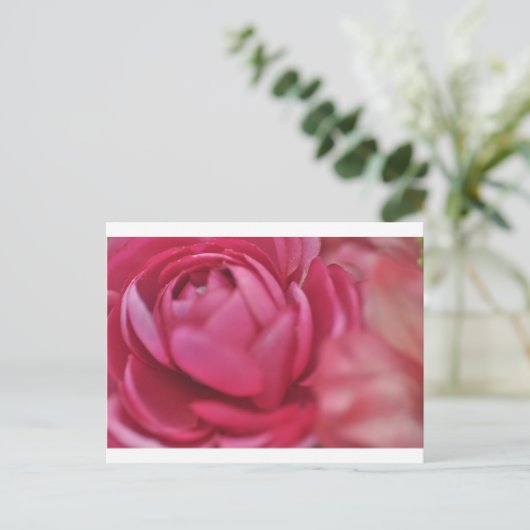Rose Postkarte (Stehend Vorderseite)