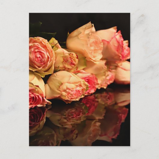 Rose Postkarte (Vorderseite)