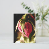Rose Postkarte (Stehend Vorderseite)