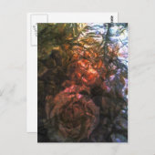 Rose Postkarte (Vorne/Hinten)