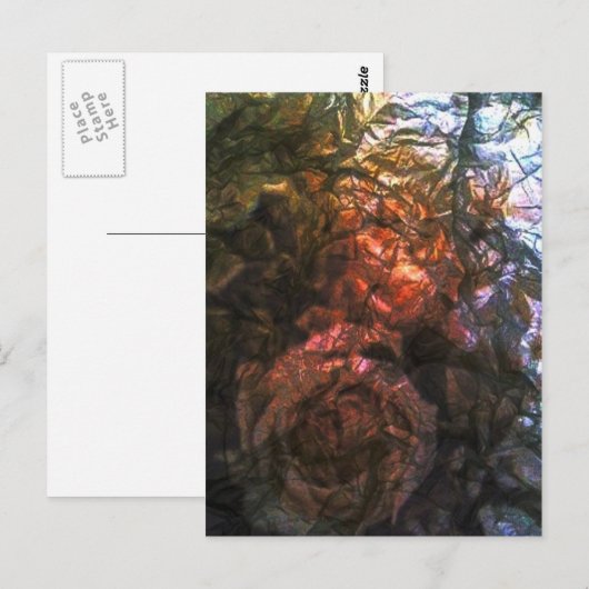 Rose Postkarte (Vorne/Hinten)