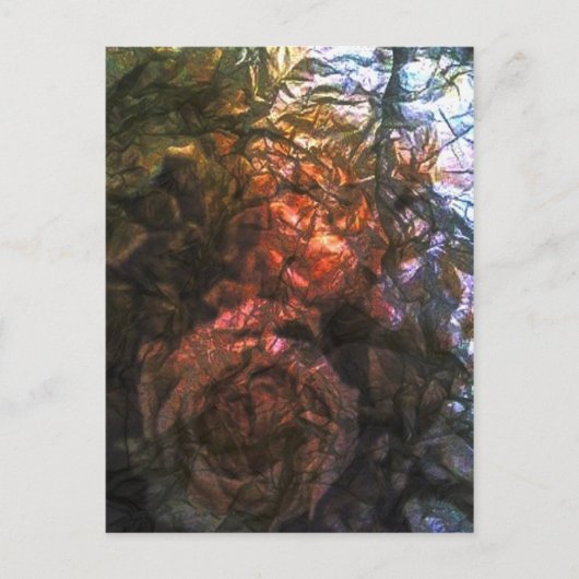 Rose Postkarte (Vorderseite)