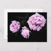 Rose Postkarte (Vorne/Hinten)