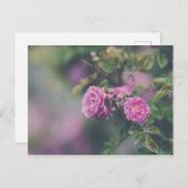 Rose Postkarte (Vorne/Hinten)