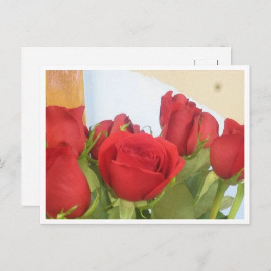 Rose Postkarte (Vorne/Hinten)