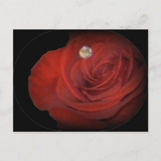 Rose Postkarte