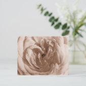 Rose Postkarte (Stehend Vorderseite)