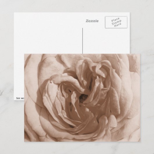 Rose Postkarte (Vorne/Hinten)