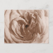 Rose Postkarte (Vorderseite)
