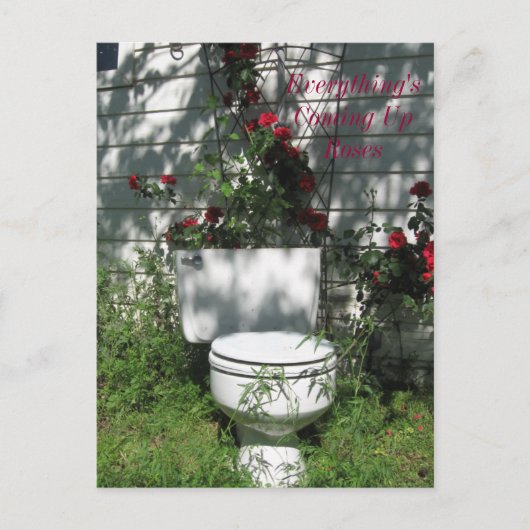 Rose Postkarte (Vorderseite)