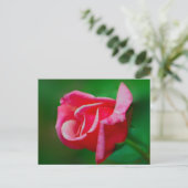 Rose Postkarte (Stehend Vorderseite)