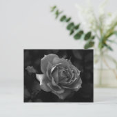 Rose Postkarte (Stehend Vorderseite)