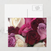 Rose Postkarte (Vorne/Hinten)