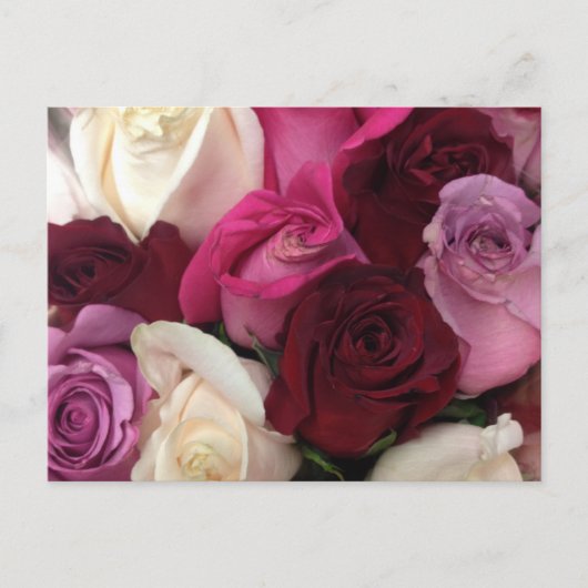 Rose Postkarte (Vorderseite)