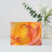 Rose Postkarte (Stehend Vorderseite)