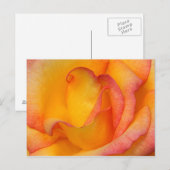 Rose Postkarte (Vorne/Hinten)