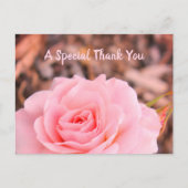 Rose Postkarte (Vorderseite)