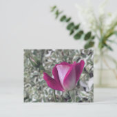 Rose Postkarte (Stehend Vorderseite)
