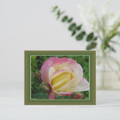 Rose Postkarte (Stehend Vorderseite)