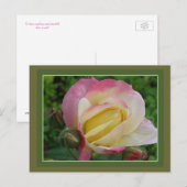 Rose Postkarte (Vorne/Hinten)