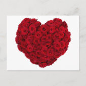 Rose Postkarte (Vorderseite)