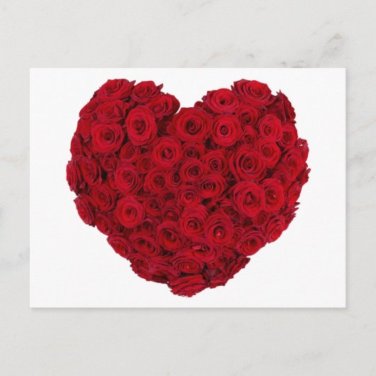 Rose Postkarte (Vorderseite)