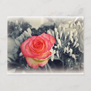 Rose Postkarte
